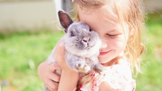 Don’t Be a Silly Wabbit:The Ultimate Guide to Owning a Pet Bunny