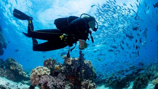 SCUBA DIVING VACATIONS – A GREAT REASON TO EXPAND YOUR DIVING HORIZONS