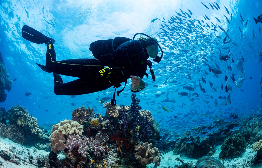 SCUBA DIVING VACATIONS – A GREAT REASON TO EXPAND YOUR DIVING HORIZONS