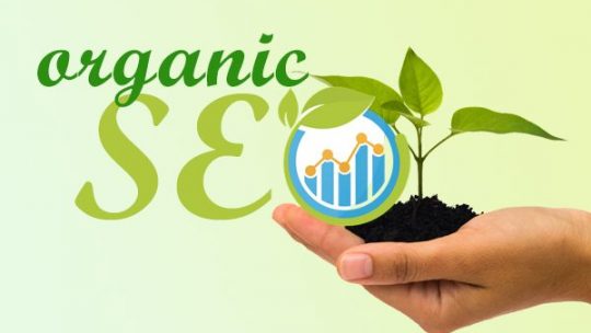Why Is Organic SEO So Crucial?